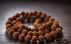 11 ASPECTS ÉTONNANTS DU RUDRAKSHA